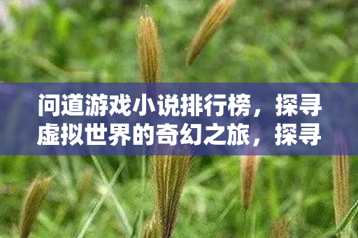 问道游戏小说排行榜,探寻虚拟世界的奇幻之旅,探寻虚拟世界的奇幻之旅,问道游戏小说排行榜 问道游戏小说排行榜,探寻虚拟世界的奇幻之旅,探寻虚拟世界的奇幻之旅,问道游戏小说排行榜