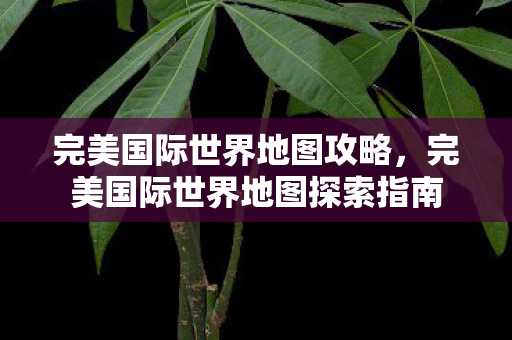 完美国际世界地图探索指南图片