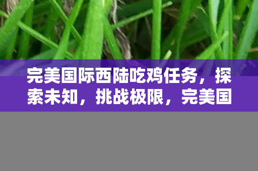 完美国际西陆吃鸡任务图片