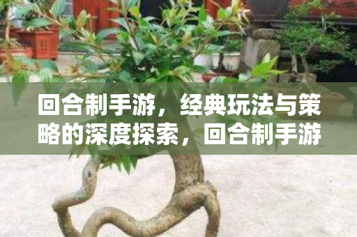 回合制手游,经典玩法与策略的深度探索,回合制手游,经典玩法与策略的深度探索之旅 回合制手游,经典玩法与策略的深度探索,回合制手游,经典玩法与策略的深度探索之旅