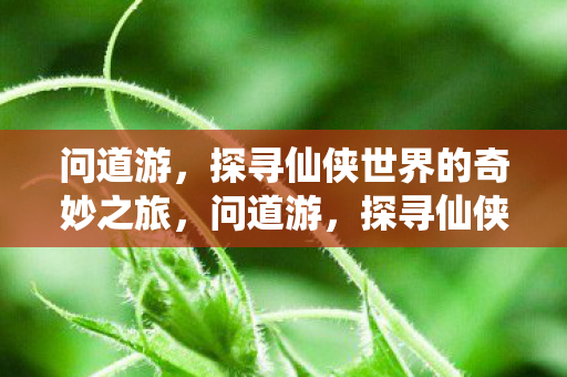 问道游,探寻仙侠世界的奇妙之旅,问道游,探寻仙侠世界的奇妙之旅 问道游,探寻仙侠世界的奇妙之旅,问道游,探寻仙侠世界的奇妙之旅