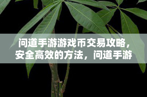 问道手游游戏币交易攻略,安全高效的方法,问道手游游戏币交易安全高效攻略 问道手游游戏币交易攻略,安全高效的方法,问道手游游戏币交易安全高效攻略