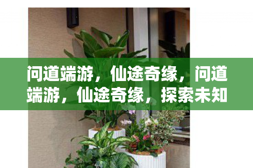 问道端游,仙途奇缘,问道端游,仙途奇缘,探索未知世界 问道端游,仙途奇缘,问道端游,仙途奇缘,探索未知世界