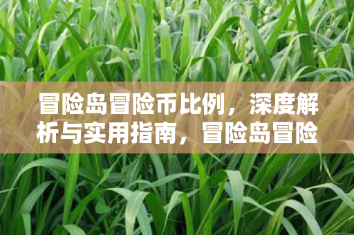 冒险岛冒险币比例深度解析与实用指南图片
