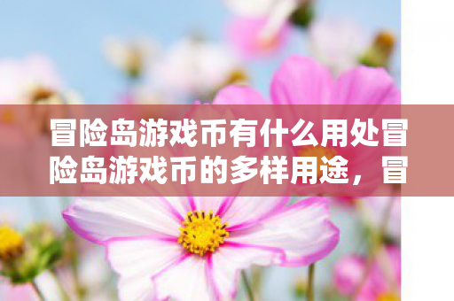 冒险岛游戏币有什么用处冒险岛游戏币的多样用途图片
