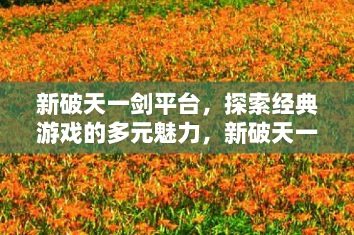 探索经典游戏的多元魅力图片