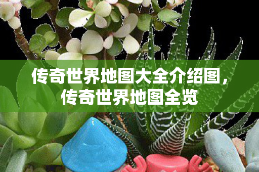 传奇世界地图大全介绍图图片