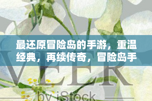 最还原冒险岛的手游图片