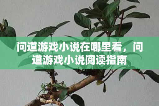 问道游戏小说在哪里看，问道游戏小说阅读指南