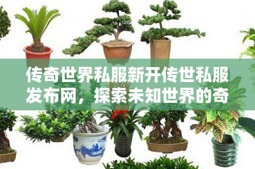 传奇世界私服新开传世私服发布网图片