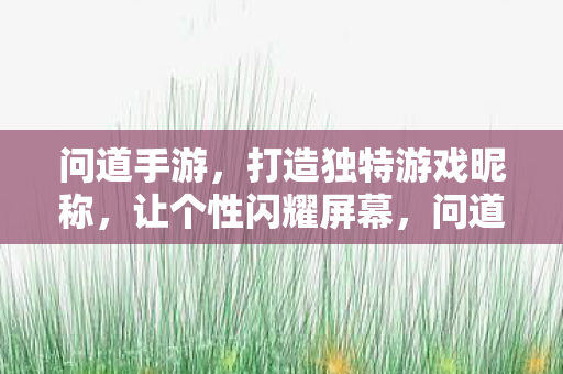 问道手游,打造独特游戏昵称,让个性闪耀屏幕,问道手游,打造独特昵称,让个性闪耀屏幕 问道手游,打造独特游戏昵称,让个性闪耀屏幕,问道手游,打造独特昵称,让个性闪耀屏幕