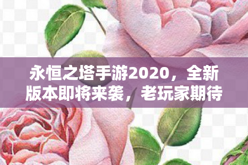 永恒之塔手游2020新版本即将上线图片