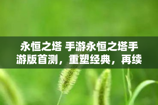 永恒之塔 手游永恒之塔手游版首测图片