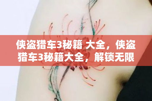 侠盗猎车3秘籍 大全图片