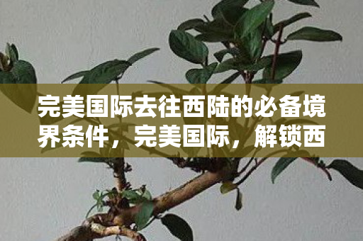 完美国际去往西陆的必备境界条件图片