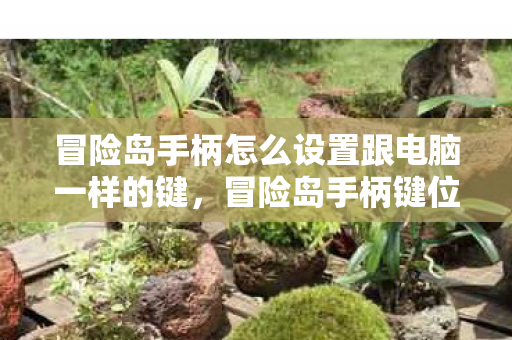 冒险岛手柄怎么设置跟电脑一样的键图片