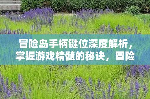 冒险岛手柄键位深度解析图片