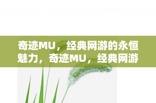 经典网游的永恒魅力图片