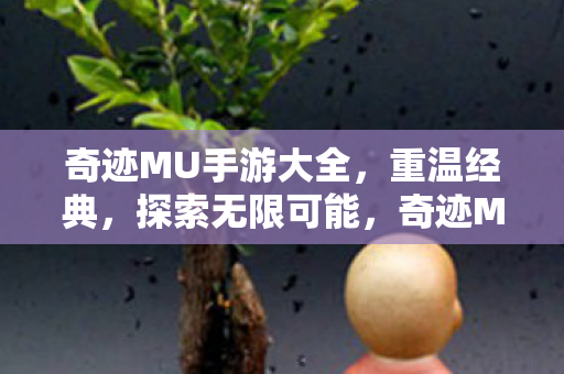 奇迹MU手游大全图片