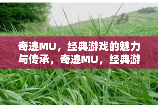 经典游戏的魅力与传承图片