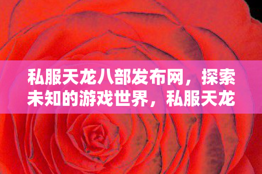 私服天龙八部发布网图片