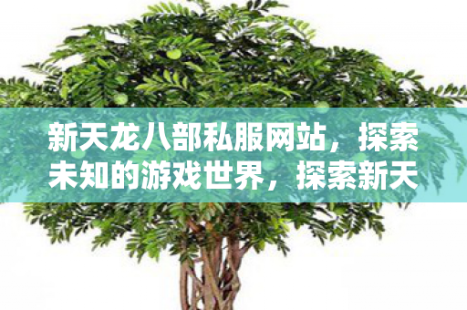 探索新天龙八部私服网站图片
