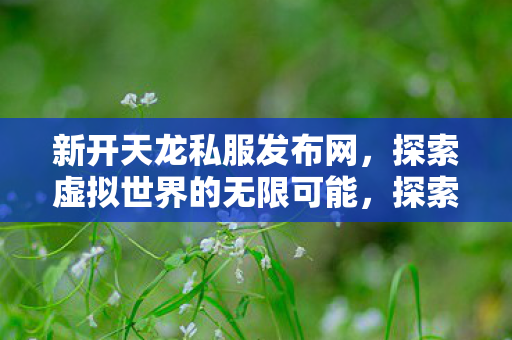 探索虚拟世界的无限可能图片