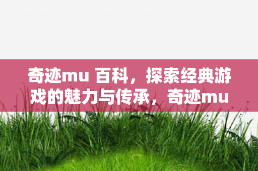 探索经典游戏的魅力与传承图片