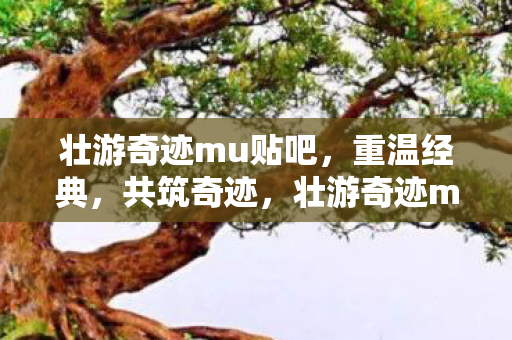 壮游奇迹mu贴吧图片