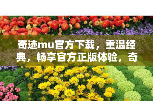 奇迹mu官方下载图片