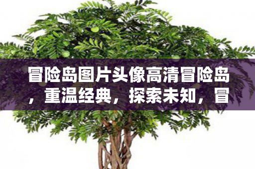 冒险岛图片头像高清冒险岛图片