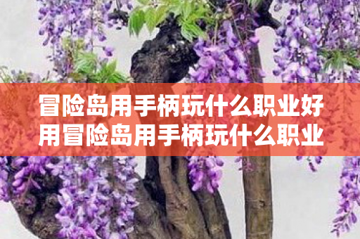 冒险岛用手柄玩什么职业好用冒险岛用手柄玩什么职业好图片