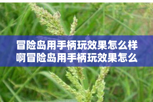 冒险岛用手柄玩效果怎么样啊冒险岛用手柄玩效果怎么样图片
