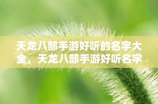 天龙八部手游好听的名字大全图片