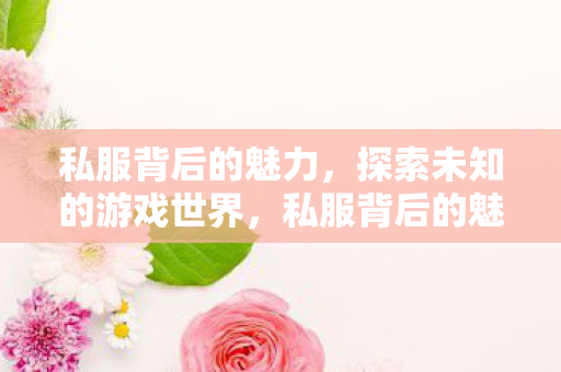 私服背后的魅力,探索未知的游戏世界,私服背后的魅力,探索未知的游戏世界 私服背后的魅力,探索未知的游戏世界,私服背后的魅力,探索未知的游戏世界