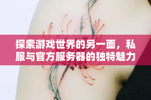 探索游戏世界的另一面,私服与官方服务器的独特魅力,私服与官方服务器,探索游戏世界的另一面 探索游戏世界的另一面,私服与官方服务器的独特魅力,私服与官方服务器,探索游戏世界的另一面