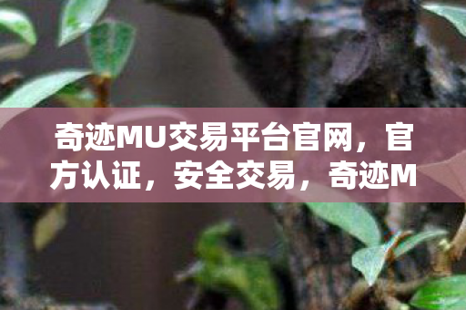 奇迹MU交易平台官网图片
