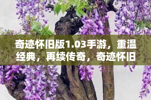 奇迹怀旧版1图片