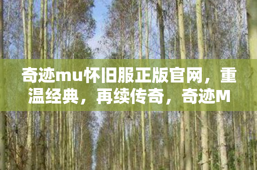 奇迹mu怀旧服正版官网图片