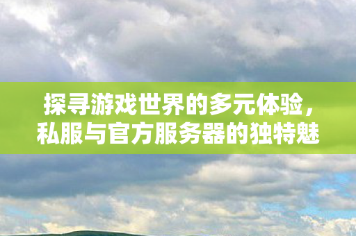 私服与官方服务器的独特魅力图片