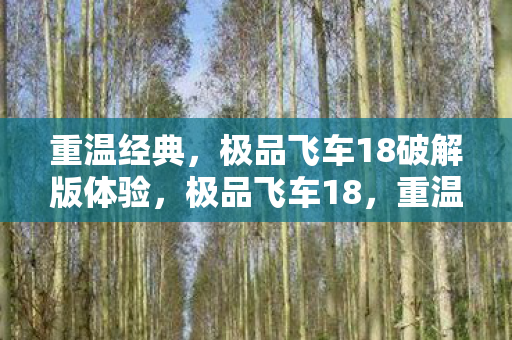 极品飞车18破解版体验图片