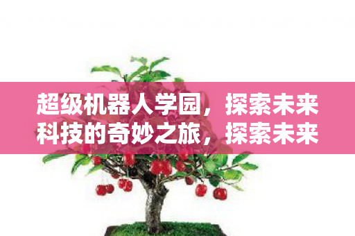探索未来科技的奇妙之旅图片