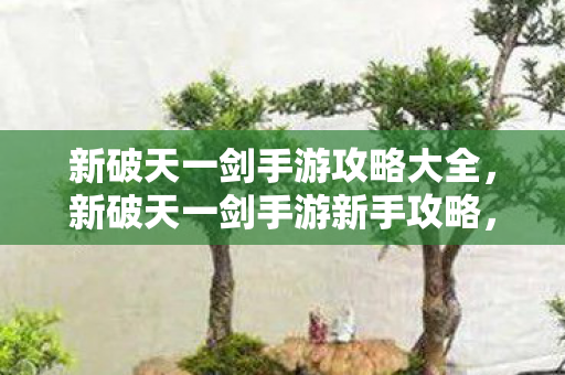 新破天一剑手游攻略大全图片