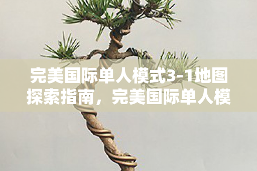 完美国际单人模式3图片