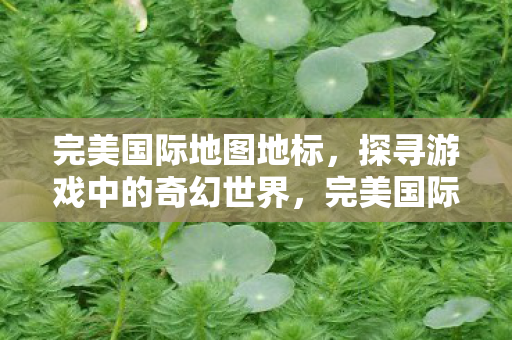 探寻游戏中的奇幻世界图片