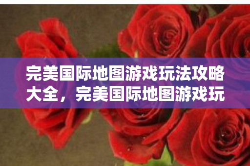 完美国际地图游戏玩法攻略大全图片