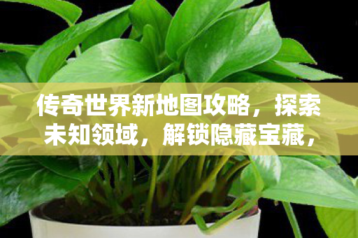 解锁传奇世界隐藏宝藏图片