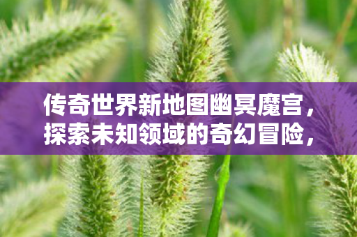 探索传奇世界未知领域的奇幻冒险图片