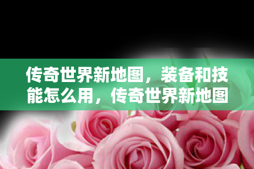 装备与技能使用指南图片