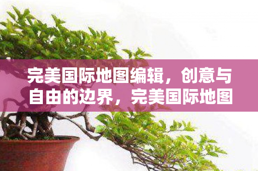 完美国际地图编辑图片